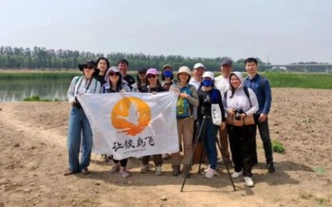 互联网公益，需要“真干”也需要“真探”