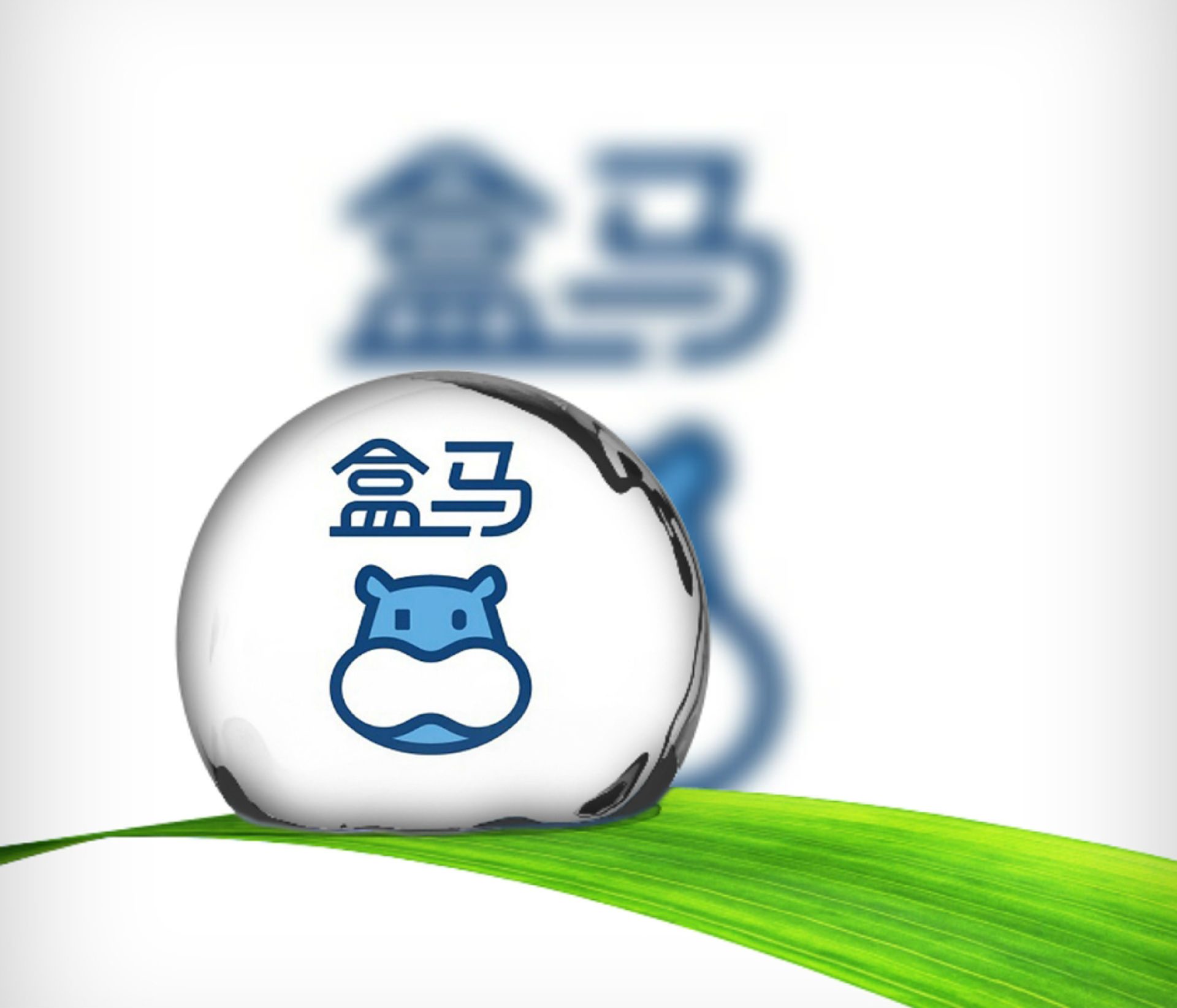 盒马：跑出阿里裂变后的第一个IPO