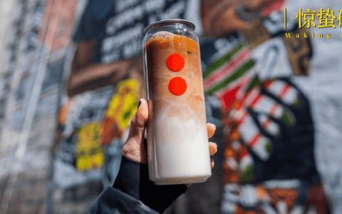 戴威版“真还传”：创业未半，中道崩盘