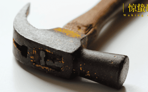 直播带货变轨，京东补票上车