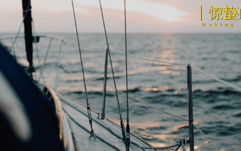 中企出海洞察丨从摸索、积累到全面竞争