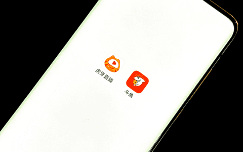 虎牙斗鱼夹缝求生