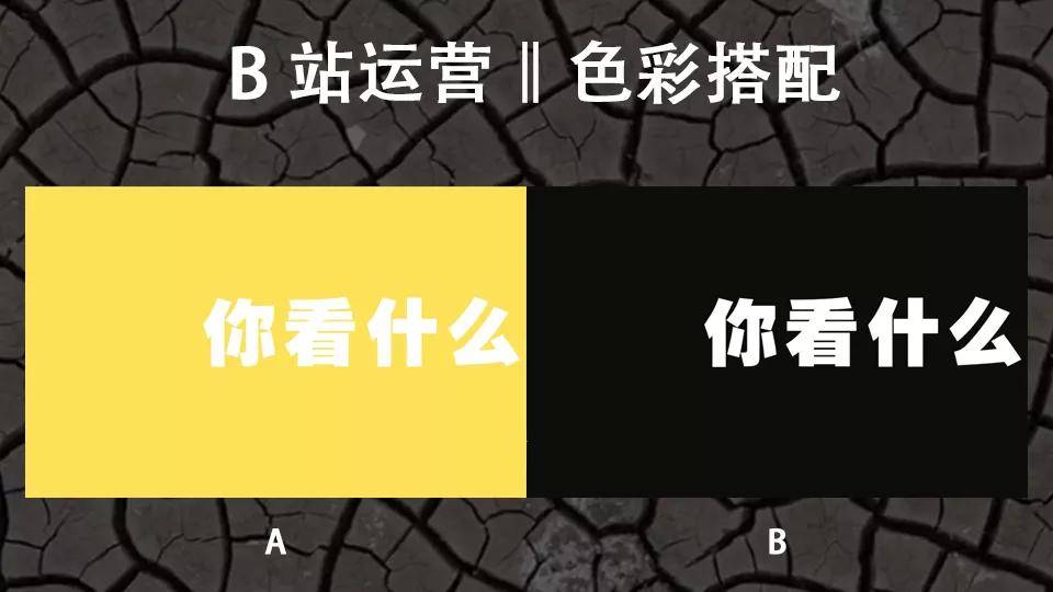 万字长文：我是如何在B站3个月通过运营变现600万的