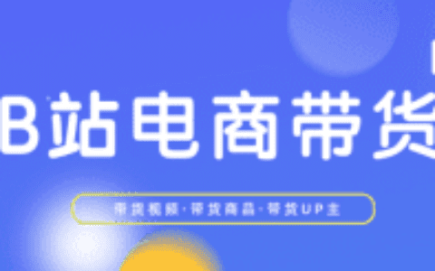 客单价近500，日耗50万+，B站流量新蓝海来了