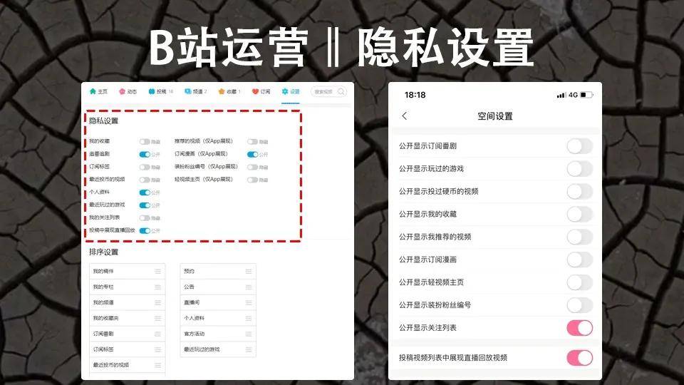 万字长文：我是如何在B站3个月通过运营变现600万的