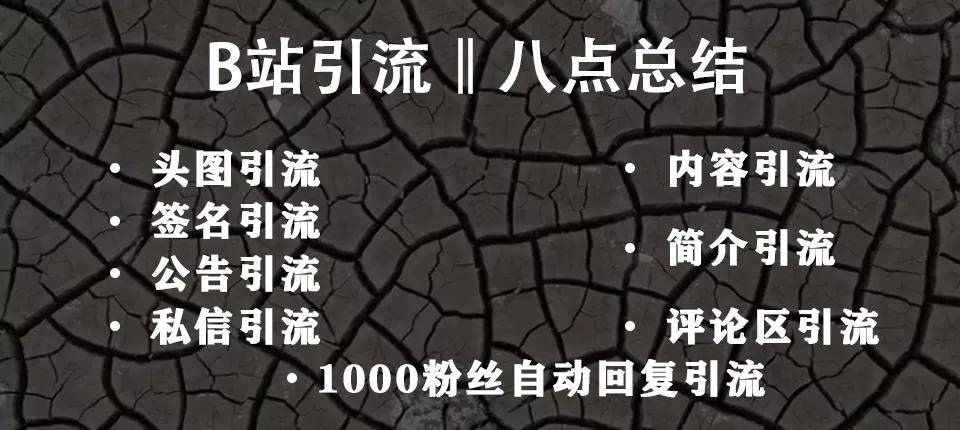万字长文：我是如何在B站3个月通过运营变现600万的