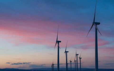 专访蘑菇物联沈国辉：做工业AI时代的推动者