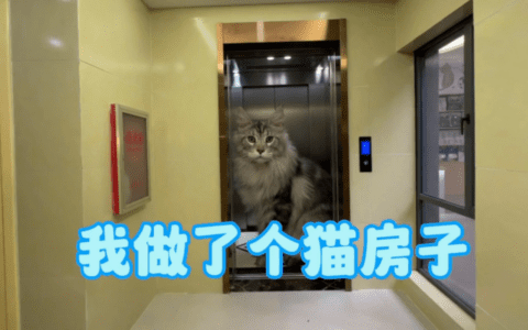 又有一个手艺人震惊了B站用户