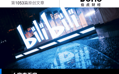 B站：论站着赚钱的得与失