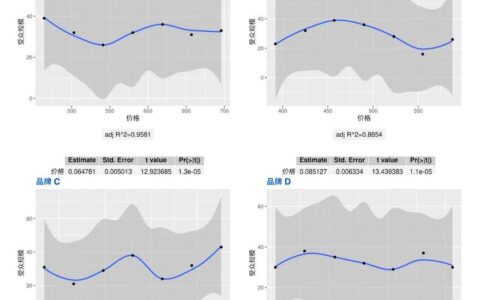 深挖客户体验管理价值，Choiceform ElasticPriceFit模型解决产品营销难题