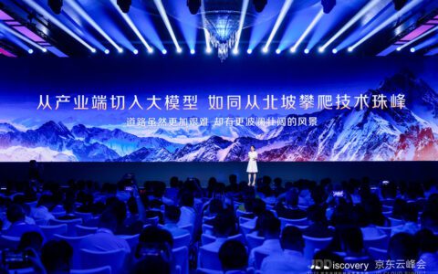 大模型需要实干派