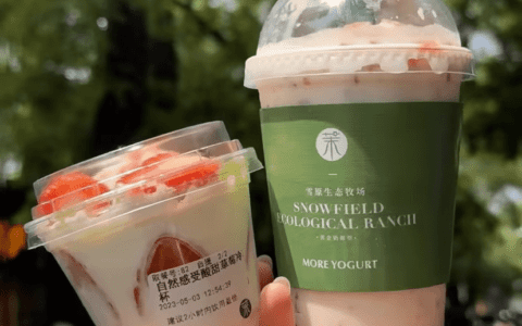 1年卖出2500万杯，该给茉酸奶泼冷水了！