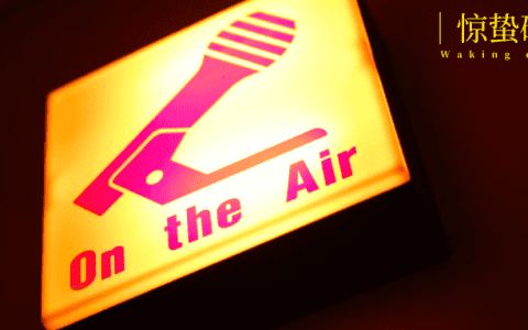 下一个董宇辉，可能正在玩播客