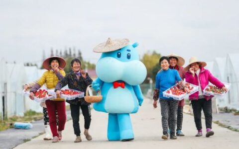 30年前看华西村,30年后看盒马村?