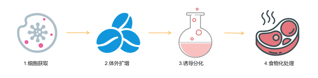 细胞肉，一道人类的必选题？