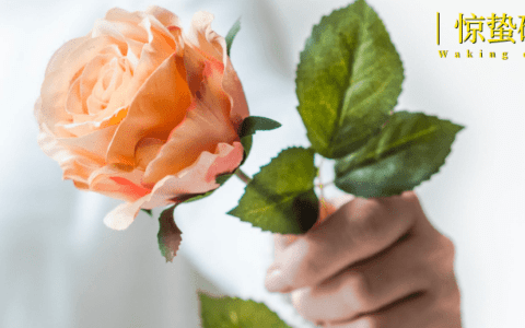 悦她不如悦己，七夕的浪漫生意不灵了