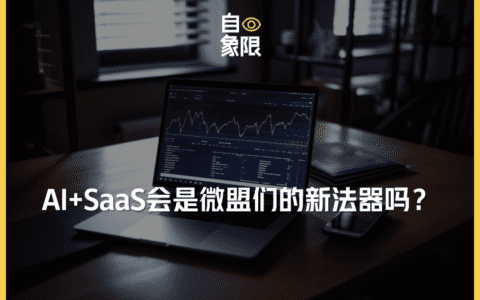 AI+SaaS，会是微盟们的新法器吗？