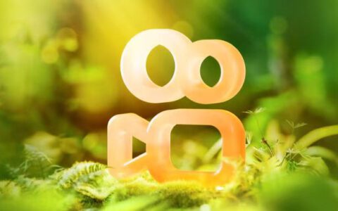 快手转动盈利飞轮