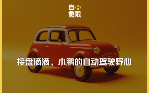 滴滴，能否承载小鹏自动驾驶的野心？