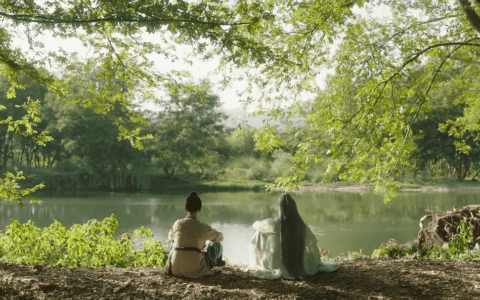 网文IP的风,吹到“下饭剧”?