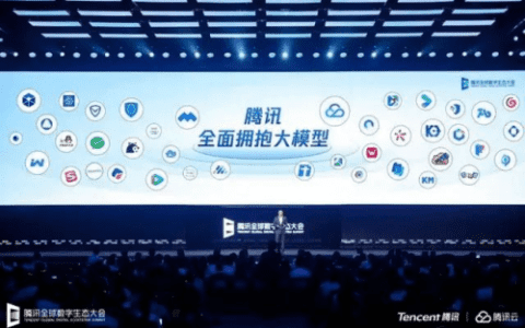 中国大模型：后中争先，不走捷径