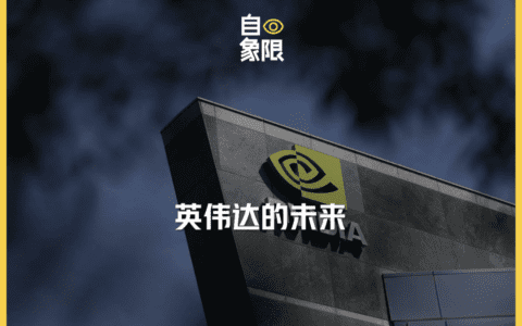 英伟达，不能只做孤独的胜利者