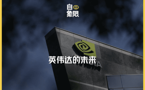 英伟达，不能只做孤独的胜利者