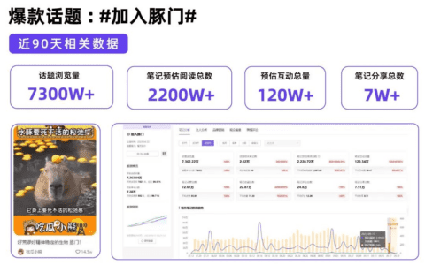 小红书营销布局风向标，八大热点内容解读（小红书）