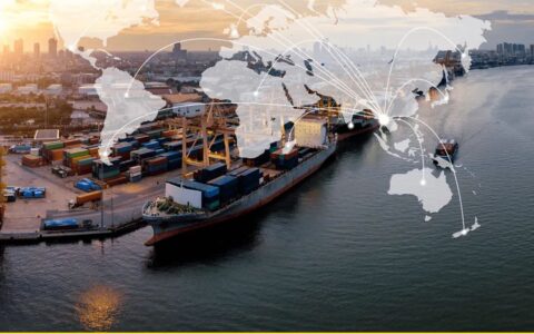 从产品出海到品牌出海：多多跨境的“升维之路”