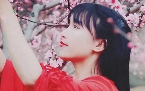 消失793天，李子柒江湖地位还在吗？