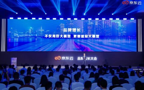 进化的京东云DaaS：向大模型要解