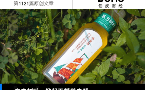 质疑东方树叶，理解东方树叶