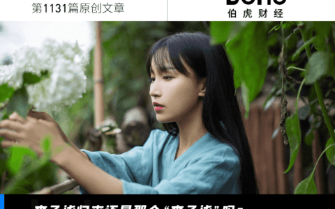 关于李子柒复出，我有两个问题