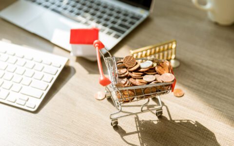 新增10亿级优惠补贴！飞猪助力旅游商家双11高效增收