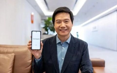 小米是瑜，华为是亮？