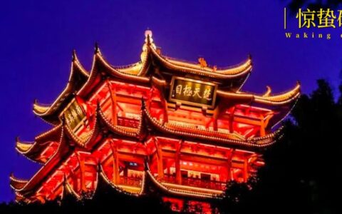 文化类节目出圈，谁在圈粉年轻人？