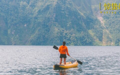 张峰去职，小米大家电能否闯过万重山？