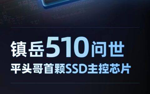 平头哥发布首颗SSD主控芯片镇岳510，误码率领先业界标杆一个数量级