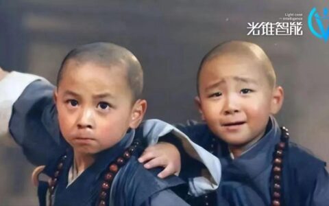向量数据库，为什么是大模型的最佳拍档？