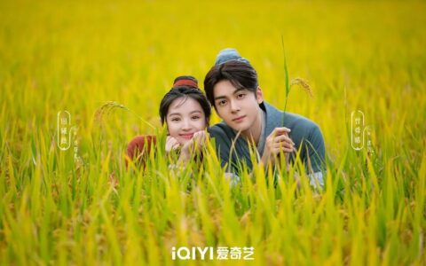 轻喜风和轻议题：国剧突围的新秘籍