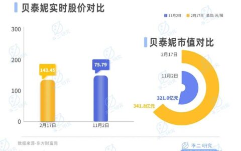 营收增速放缓、市值蒸发300亿，贝泰妮苦战双11