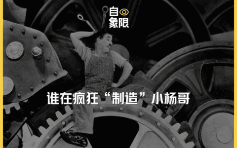 谁在疯狂“制造”小杨哥？