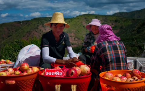 拼多多转型高质量发展显成效：Q3营收688.4亿，全域消费升级稳扎稳打