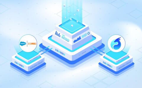 当阿里云上的Saleforce，遇到瓴羊