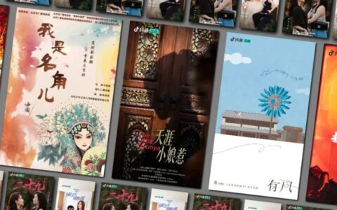 从野蛮生长到“走上正轨”，短剧行业的进化之路