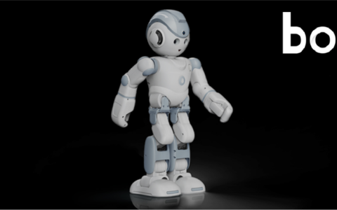 AI风口下，“人形机器人第一股”优必选能起飞吗？