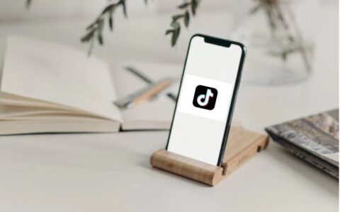 在抖音商城双12的「重点货品」中，品牌找到了大促的「小切口」