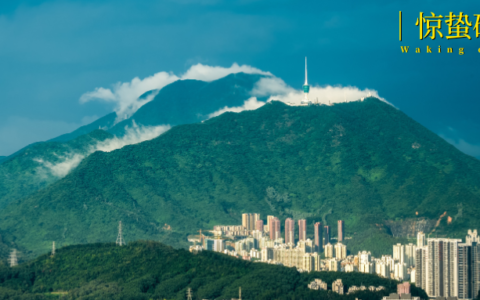 龙岗腾“云”，一路繁花