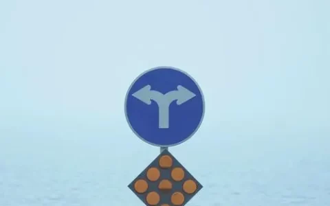 我们正进入新“大分流时代”