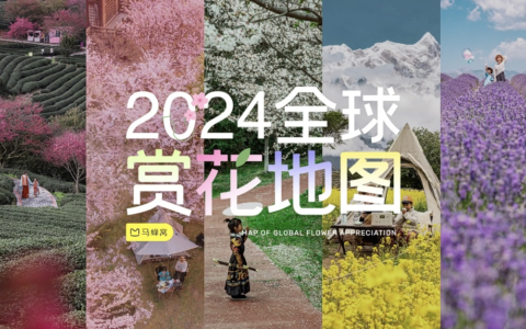 马蜂窝大数据：“赏花攻略”热度上涨166%，年轻人热衷寻觅小众赏花目的地